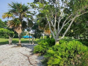 Sanibel Island Tile Cleaning